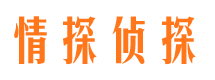 龙安寻人公司